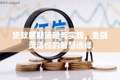 青原贷款展期策略与实践，金融灵活性的智慧选择