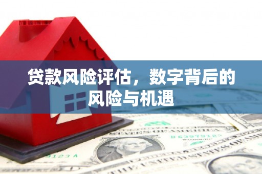 青原贷款风险评估，数字背后的风险与机遇